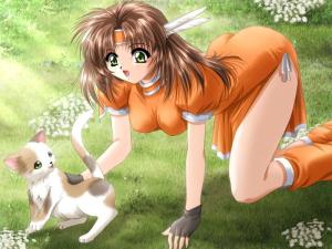 Animaux